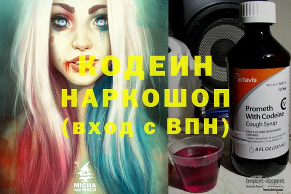 стафф Алексин