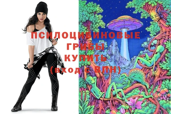 прущая мука Абаза